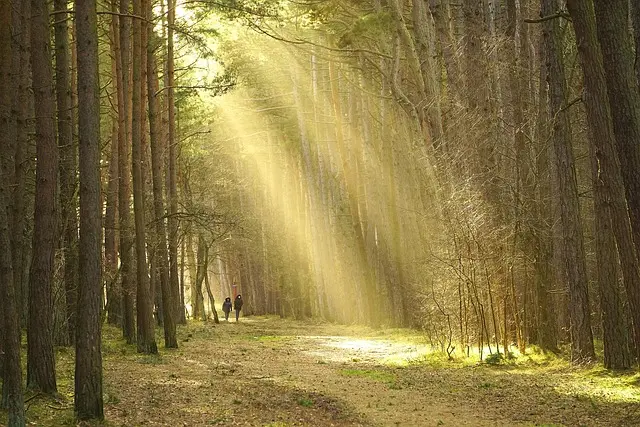 Minimalisme en Voyage : 7 Astuces pour Voyager Économiquement