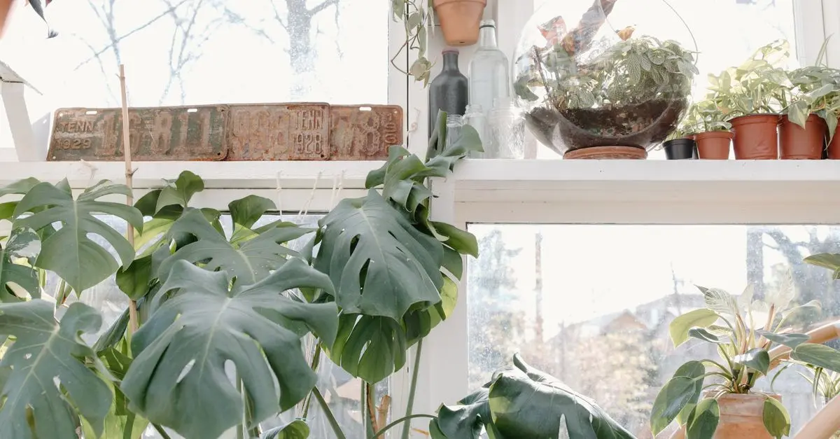 Cómo Crear un Hogar Ecológico y Sostenible: Guía Práctica