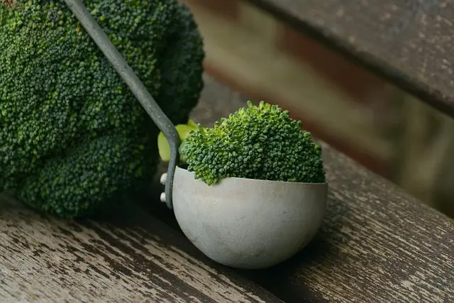 7 Essential Tips for a Successful Vegan Transition
