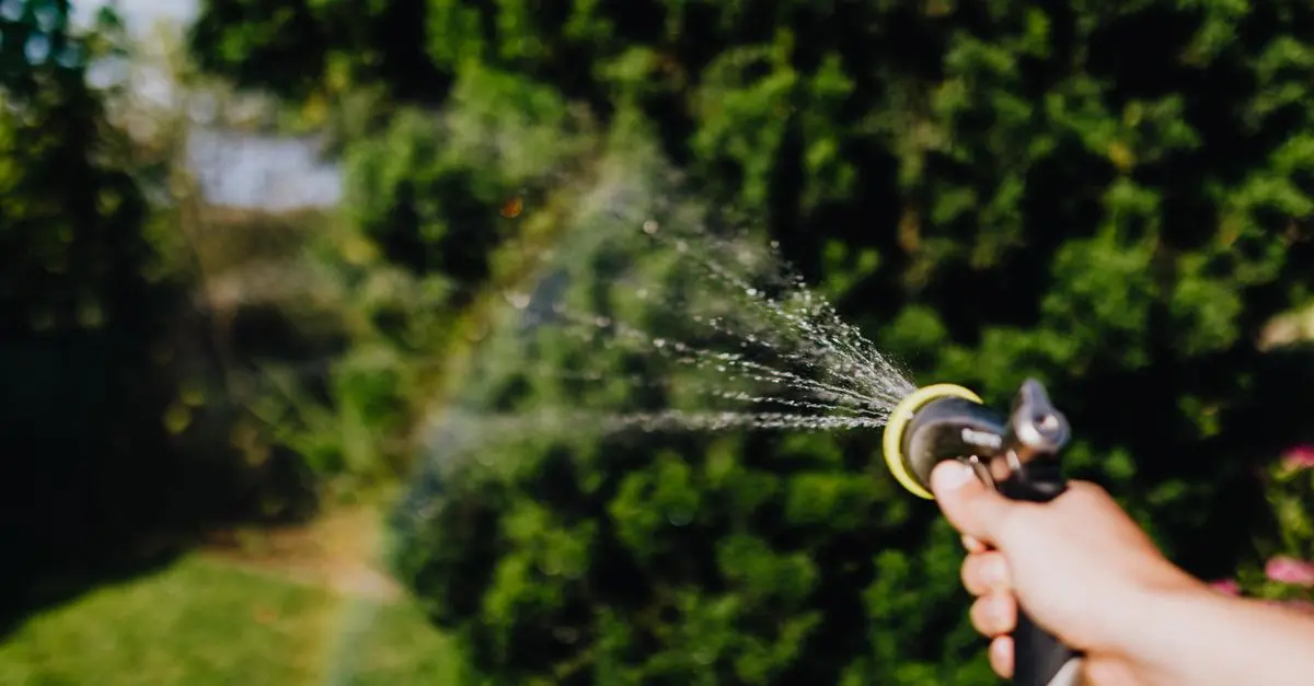 Les systèmes d'irrigation réservés aux espaces urbains : avantages et défis