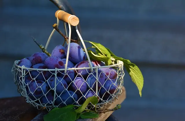 10 Compositions Originales pour un Panier de Fruits Thématique