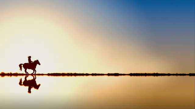 Comment Voyager Minimaliste : 8 Étapes Essentielles