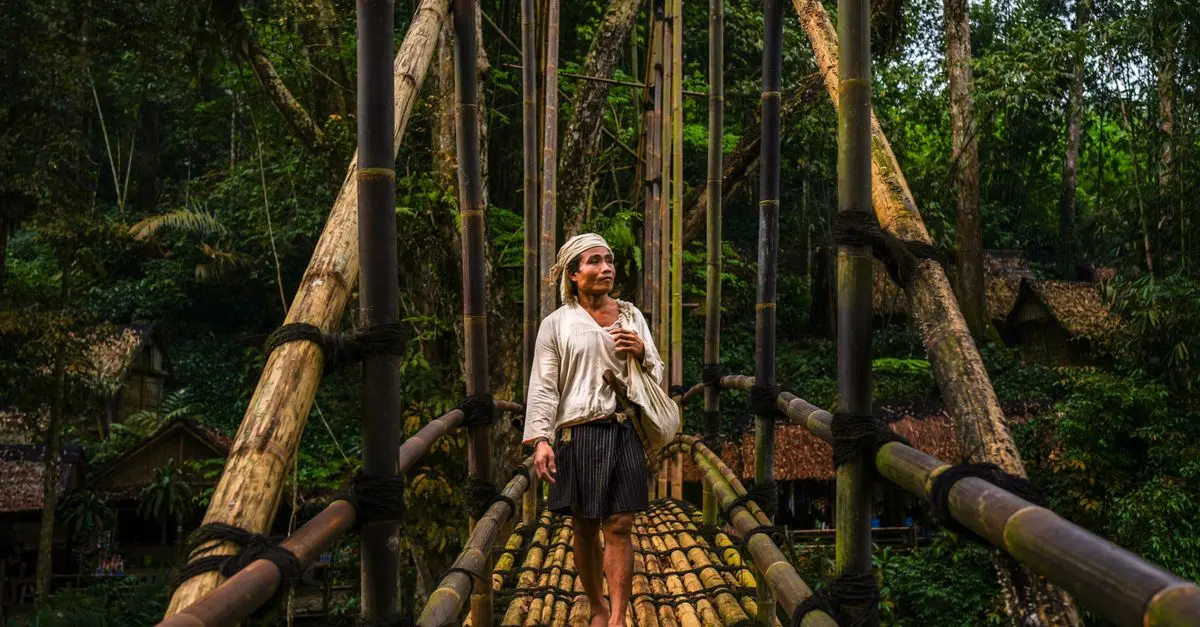 Las mejores experiencias de ecoturismo que debes conocer