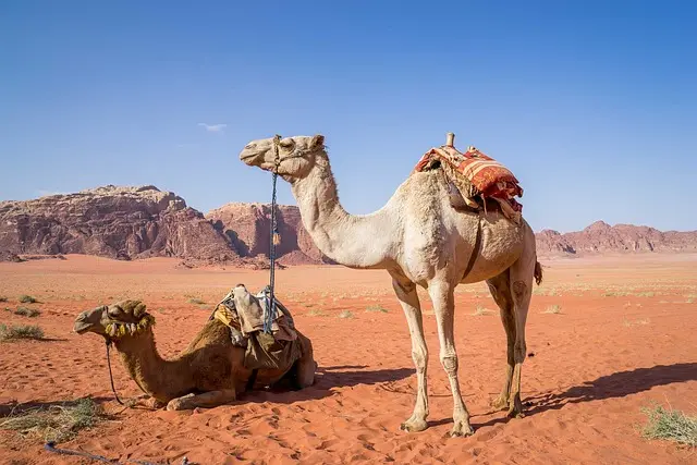 Los mejores destinos para viajar en primavera