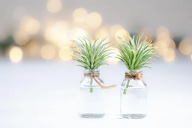 Les bienfaits étonnants de l'eau de riz dans les soins coréens