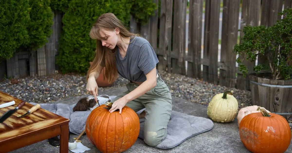 Les meilleures aiguilles à citrouille pour une sculpture parfaite