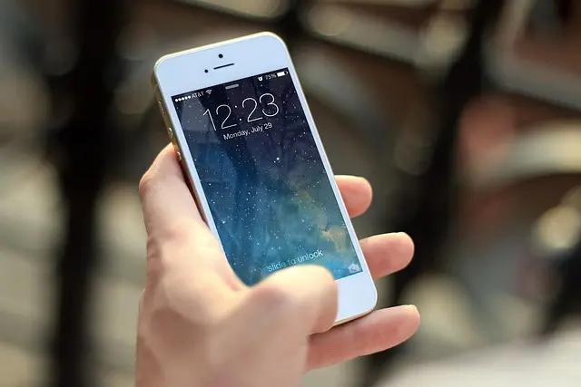 Essential Features That Will Define Future Phone Stores
