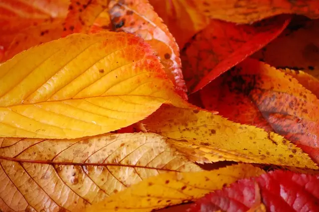 Comparatif : Soldes Automne vs Soldes Hiver