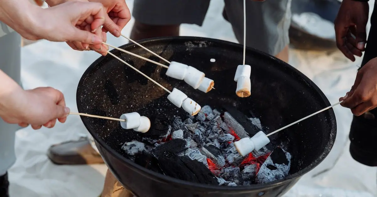 Migliori accessori per barbecue: Guida all'acquisto
