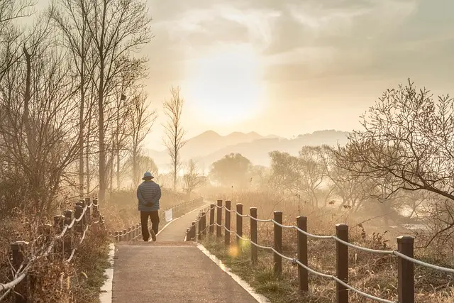 10 Essential Tips for Walking Your Way to Fitness Success
