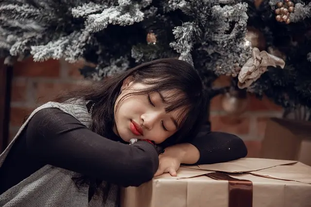 Comment Organiser des Festivités de Noël Réussies