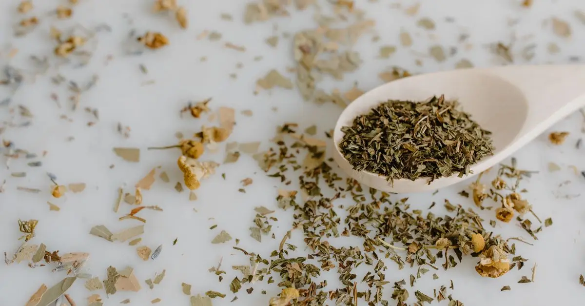 Les 10 Meilleures Plantes Médicinales pour Lutter Contre l'Insomnie