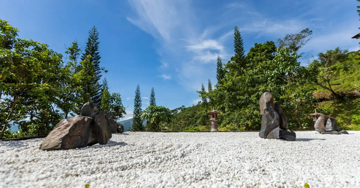 Comment Intégrer des Activités Zen dans Votre Pause Déjeuner