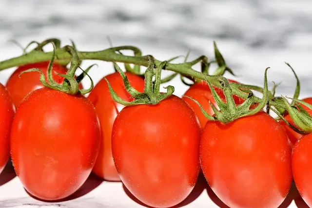 How to Choose the Best Vegan Snacks for Any Occasion