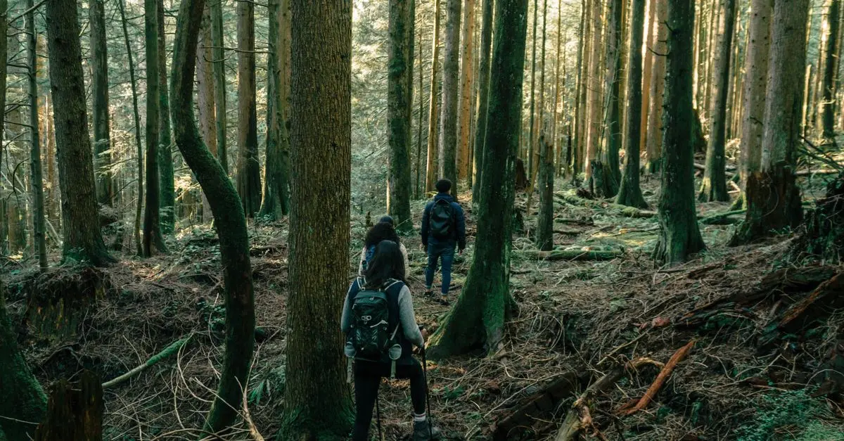 Mindful Day Trips: Short Escapes with a Big Impact