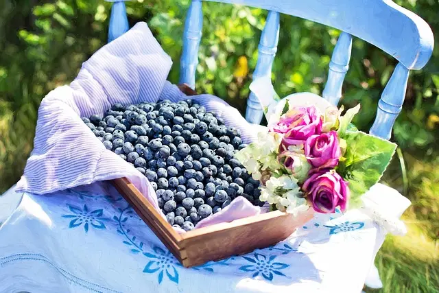 Les 7 Fruits à Toujours Avoir dans Votre Panier Équilibré