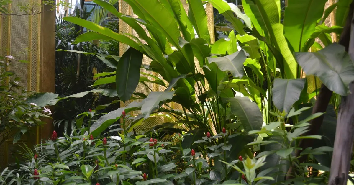 Comment le Jardinage Peut Réduire le Stress Rapidement