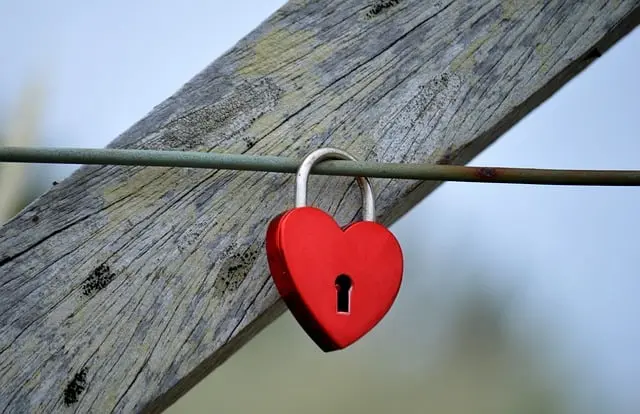 Comment choisir une serrure de sécurité adaptée à vos besoins