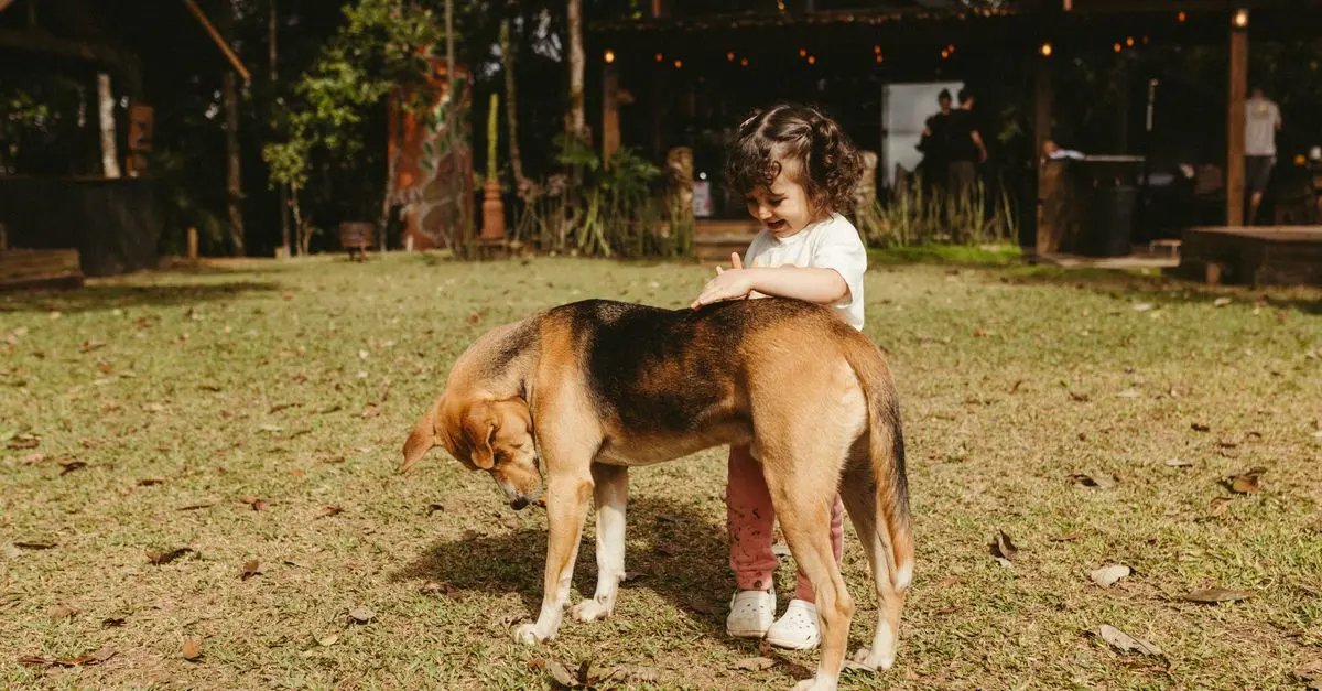 10 Essential Tips for Caring for Your New Pet