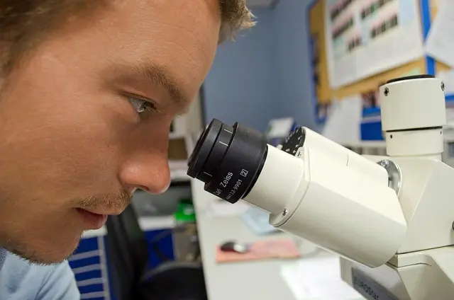 The Role of CRISPR in Modern Science