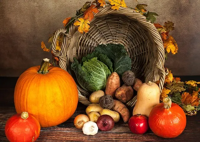 Comment intégrer les légumineuses dans votre alimentation vegan sportif