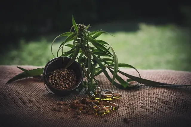 Que savoir sur les différentes formes de CBD ?
