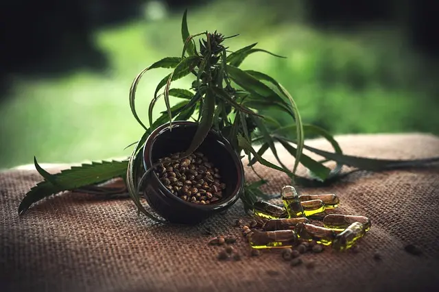 Comment choisir le bon produit CBD pour vos besoins