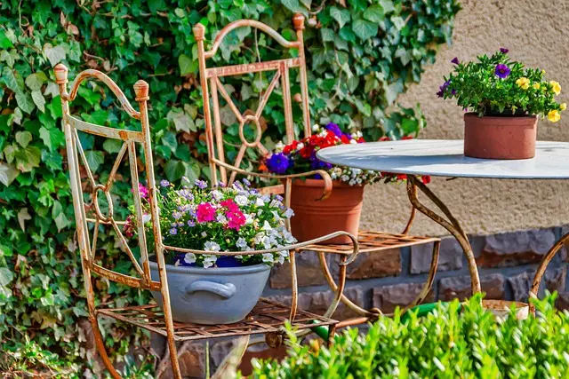 Cómo Elegir el Jardín Perfecto para Tu Espacio Exterior