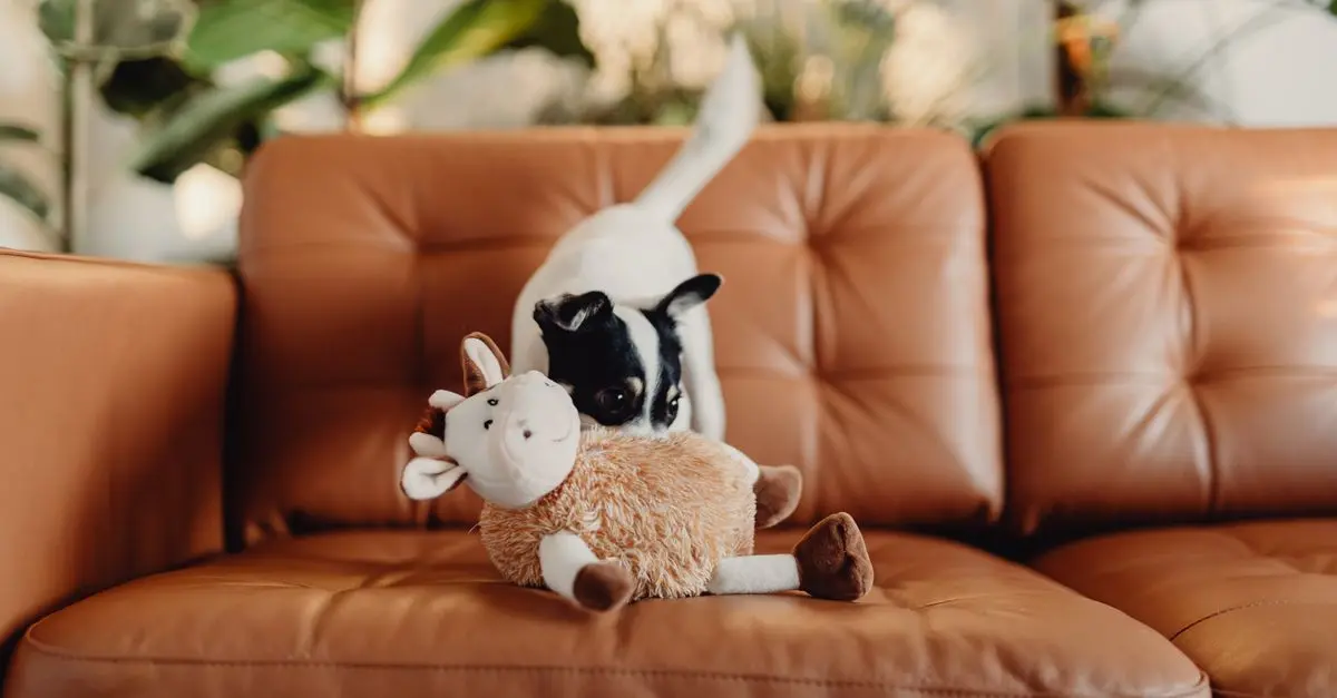 10 Tips for Creating a Safe and Engaging Pet-Friendly Living Room
