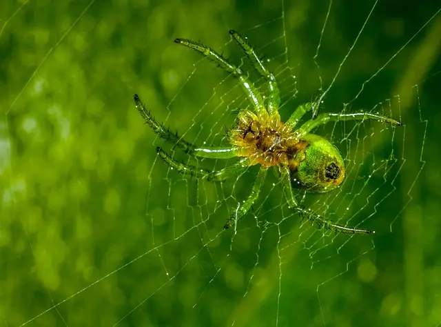 Comment choisir le meilleur hébergement web pour votre site