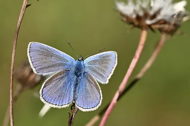 10 erreurs courantes à éviter avec les produits naturels