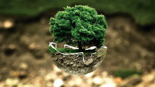 Quelles sont les conséquences des toners classiques sur l'environnement ?