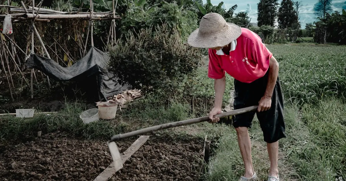 Comment Évaluer les Besoins en Nutriments de vos Cultures