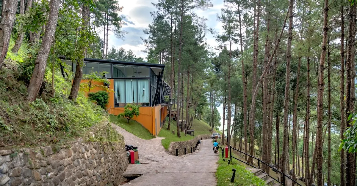Escapade Insolite: Dormir dans une Cabane dans les Arbres