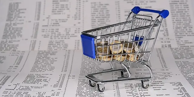 Comment adapter votre budget maîtrisé aux fluctuations économiques