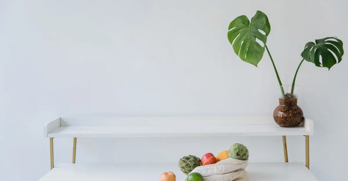 Les meilleures pratiques pour utiliser les produits naturels au quotidien
