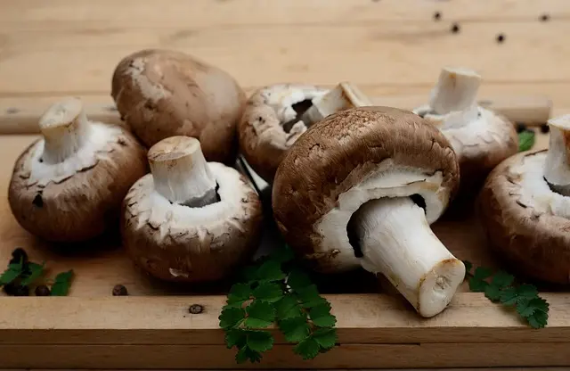 Les Tendances Gourmets : Saveurs Émergentes à Suivre en 2026