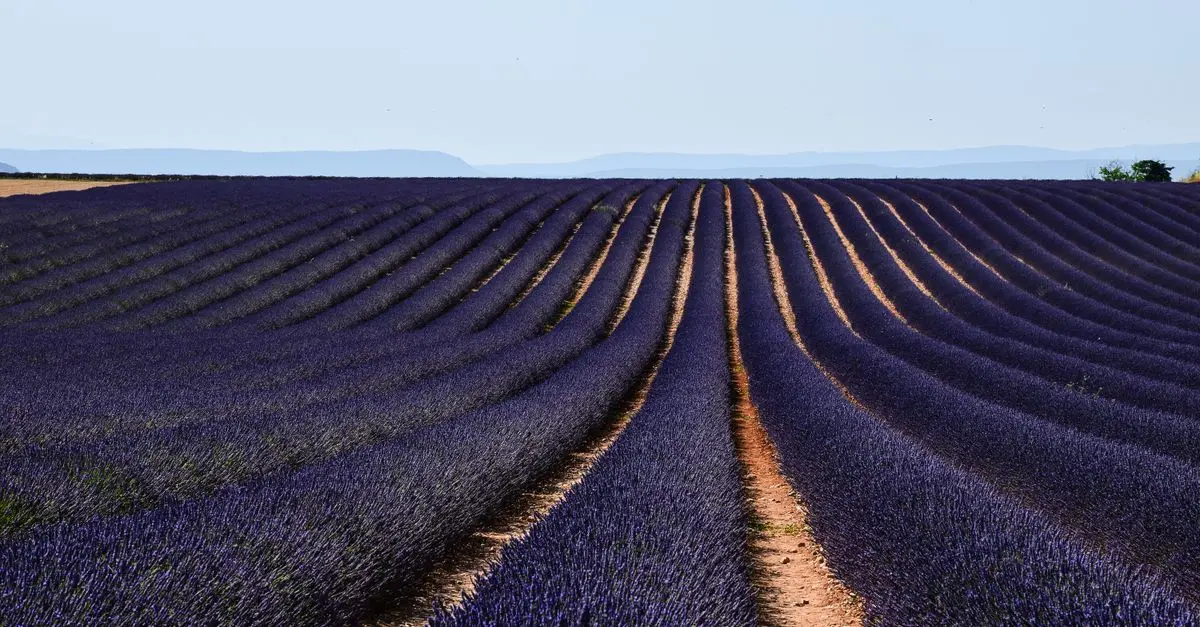 Top 10 des routes à explorer pour un roadtrip en France
