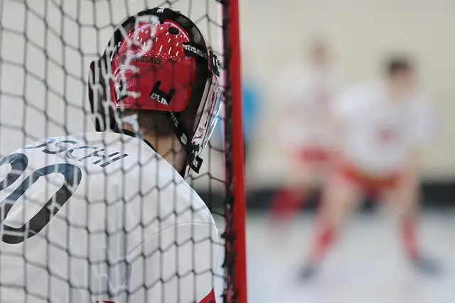 Tout sur le padel : Guide complet des stratégies gagnantes
