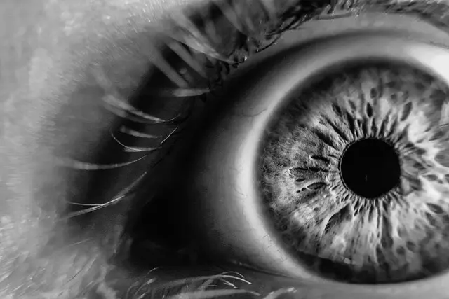 Trendy w sztucznej inteligencji, które musisz znać