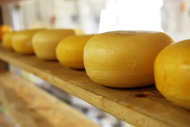 Les fromages à pâte molle : caractéristiques et variétés à connaître