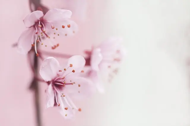 Résilience personnelle : 7 habitudes à adopter pour réussir