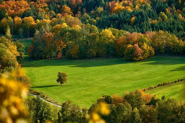 Top 10 des Routes Panoramiques à Explorer Au Moins Connues