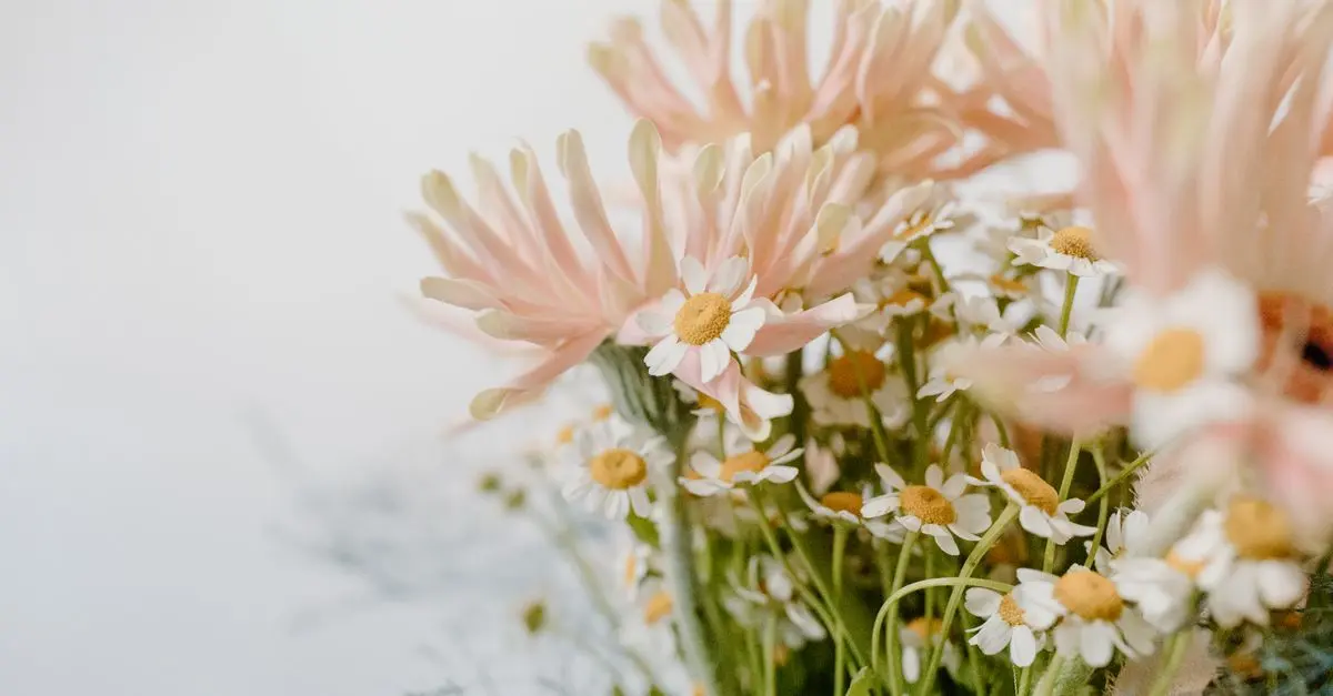 Les erreurs à éviter lors de l'achat de fleurs CBD pur