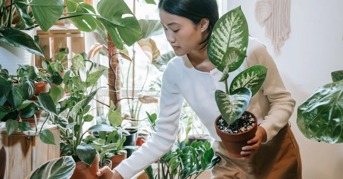 Top 10 Pet-Friendly Houseplants