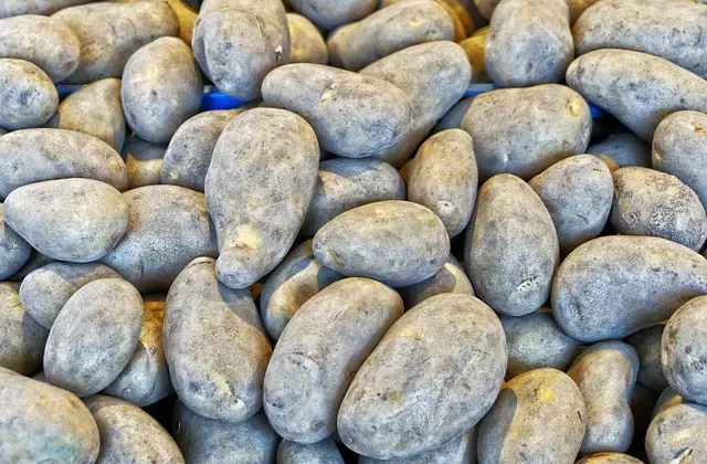 Comment choisir le bon marché pour vos produits agricoles