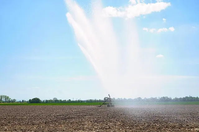 Comparatif des systèmes d'irrigation : goutte-à-goutte vs aspersion
