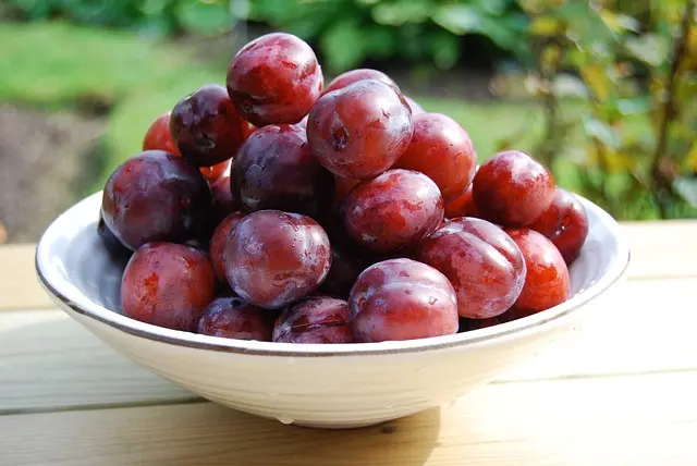 Les Meilleurs Fruits de Saison à Ne Pas Manquer en Été
