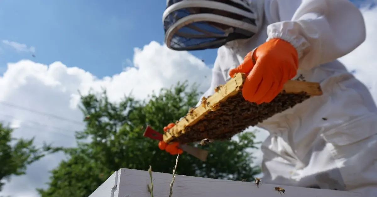 Guide complet des équipements de protection individuelle en agriculture