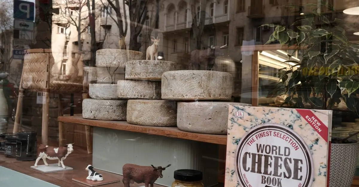 Les fromages fermentés du monde : délices à savourer